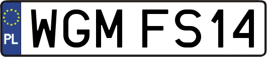 WGMFS14