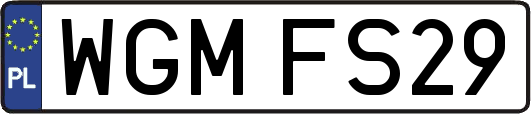 WGMFS29