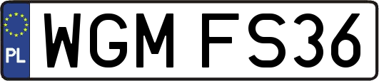 WGMFS36