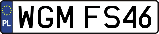 WGMFS46