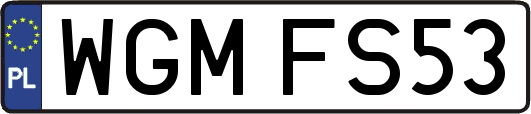 WGMFS53