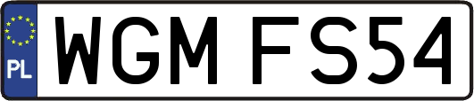 WGMFS54