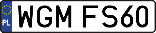 WGMFS60