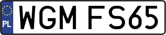 WGMFS65