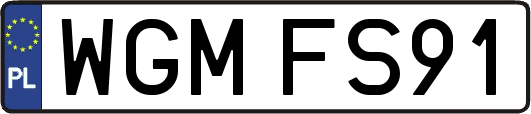 WGMFS91