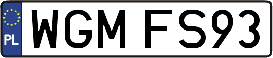 WGMFS93
