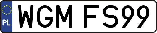 WGMFS99