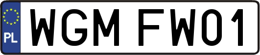 WGMFW01