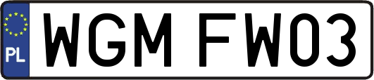 WGMFW03
