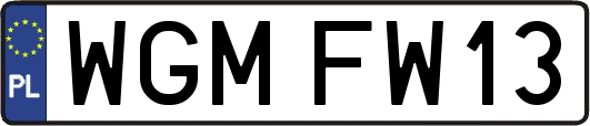 WGMFW13