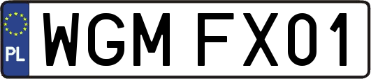 WGMFX01