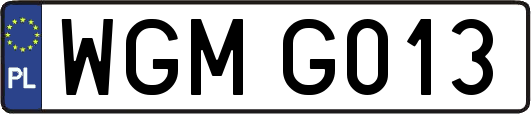 WGMG013