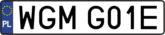 WGMG01E