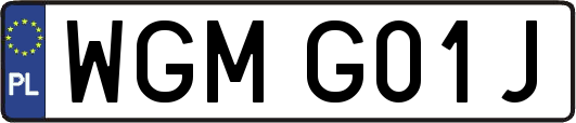 WGMG01J