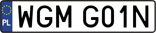 WGMG01N