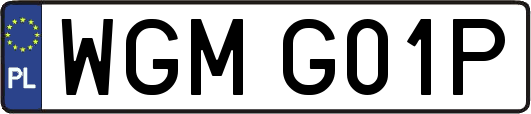 WGMG01P