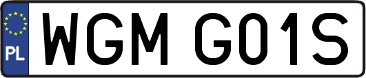 WGMG01S
