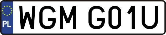 WGMG01U