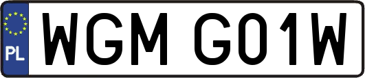 WGMG01W