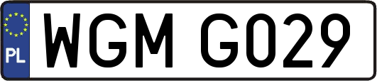 WGMG029