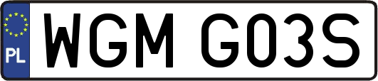 WGMG03S