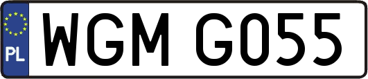 WGMG055