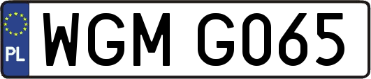 WGMG065