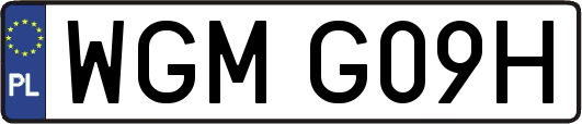 WGMG09H