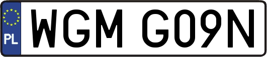 WGMG09N