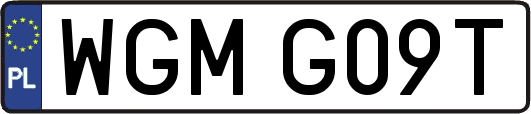 WGMG09T
