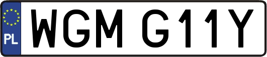 WGMG11Y