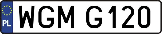 WGMG120