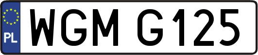 WGMG125