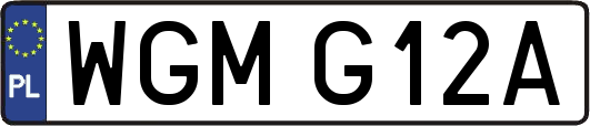 WGMG12A