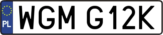 WGMG12K