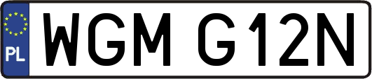 WGMG12N