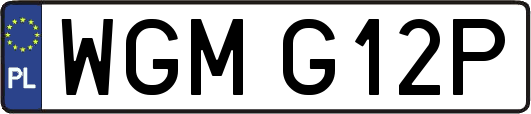 WGMG12P