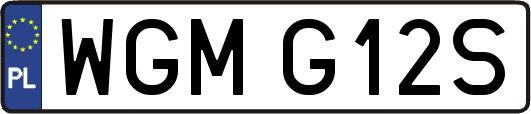 WGMG12S