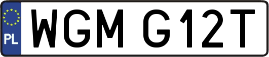 WGMG12T