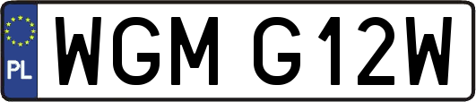 WGMG12W