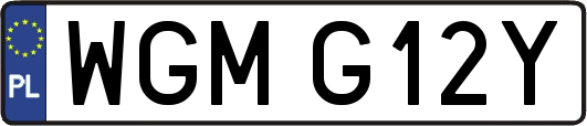 WGMG12Y