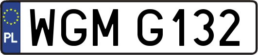 WGMG132