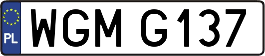 WGMG137