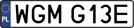 WGMG13E
