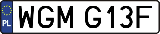 WGMG13F