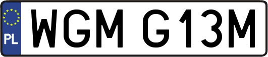 WGMG13M