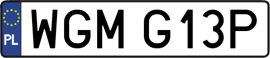 WGMG13P