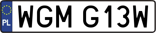 WGMG13W