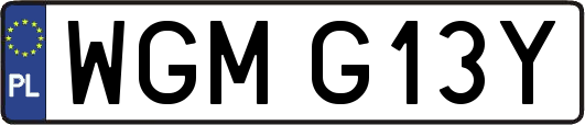 WGMG13Y