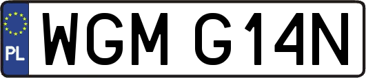 WGMG14N